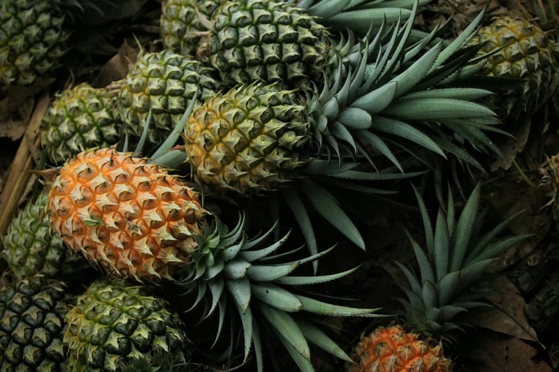 Pineapple Paradise